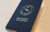 Pasaport Yenileme Randevusu